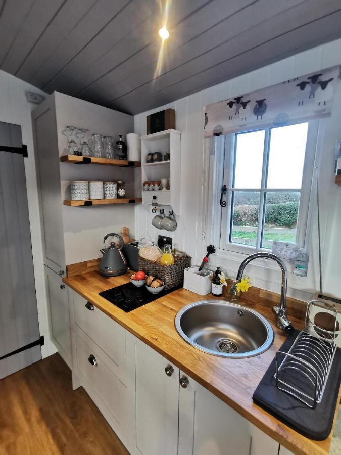 Elvan Farm Shepherd'S Hut Βίλα Έξετερ Εξωτερικό φωτογραφία