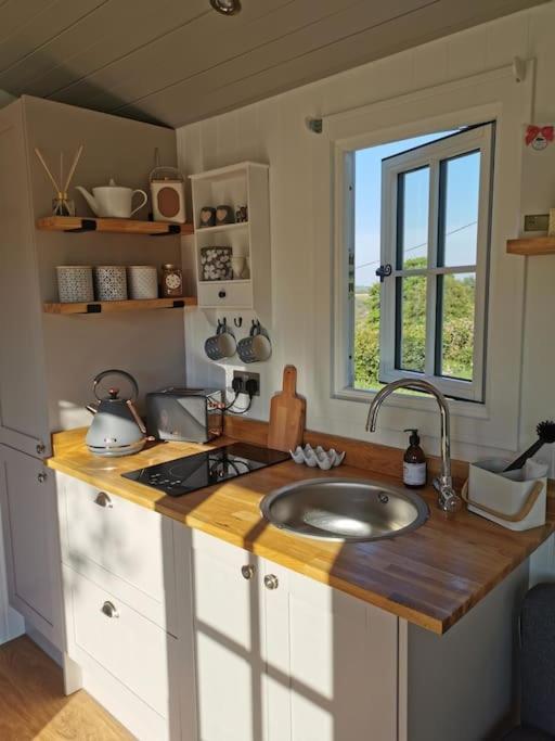 Elvan Farm Shepherd'S Hut Βίλα Έξετερ Εξωτερικό φωτογραφία