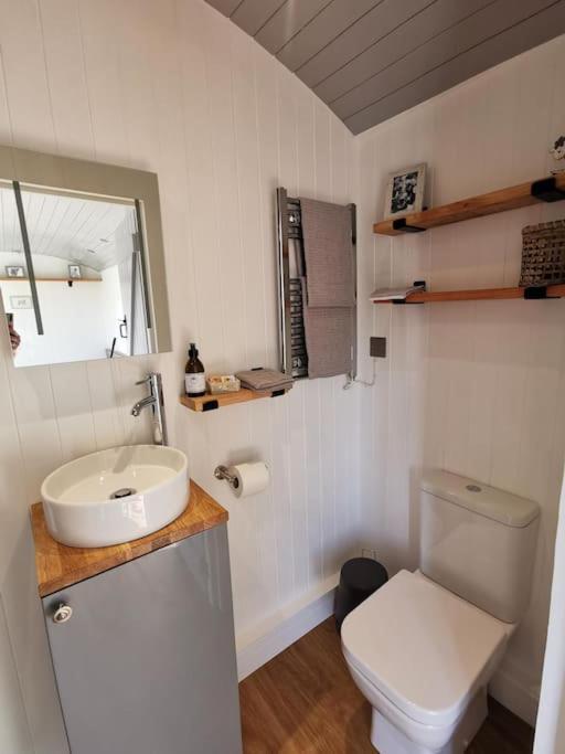 Elvan Farm Shepherd'S Hut Βίλα Έξετερ Εξωτερικό φωτογραφία